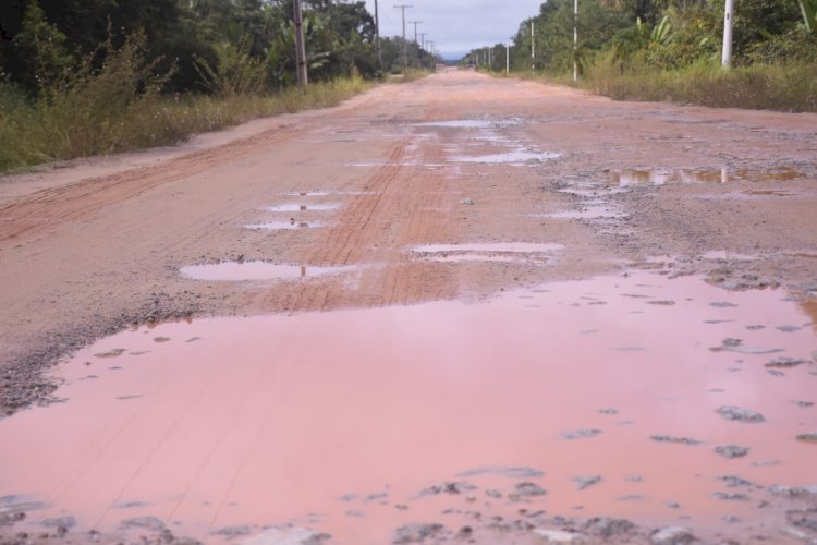 Deputado João Luiz lança abaixo-assinado em prol da revitalização da BR-319