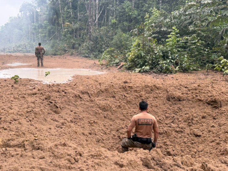 FICCO/AM desmonta logística de tráfico e inutiliza pistas clandestinas