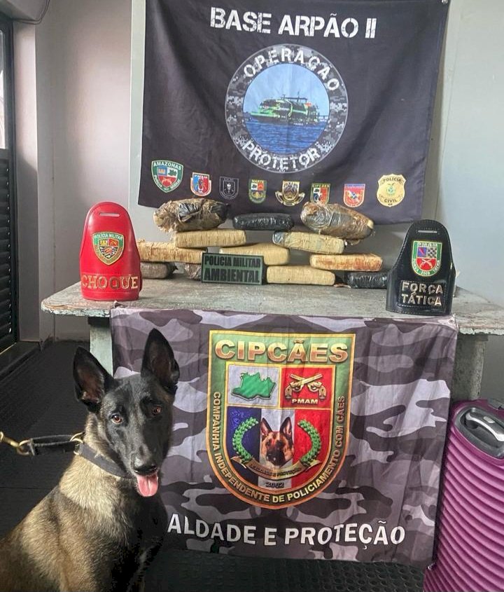 Base Arpão 2: Cão policial localiza mais de 13 quilos de maconha escondidos em mala durante abordagem